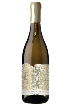 Ayama Vermentino 2024